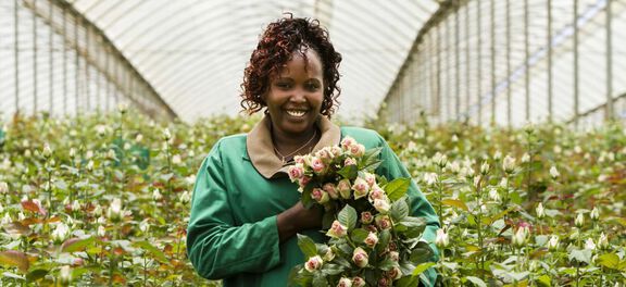 Fairtrade roseplantasje