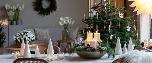 hvite juleblomster 