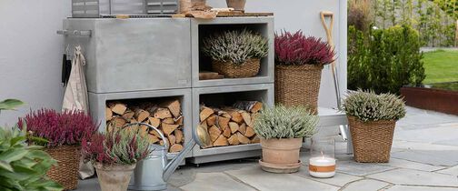 Lyng høstplanter
