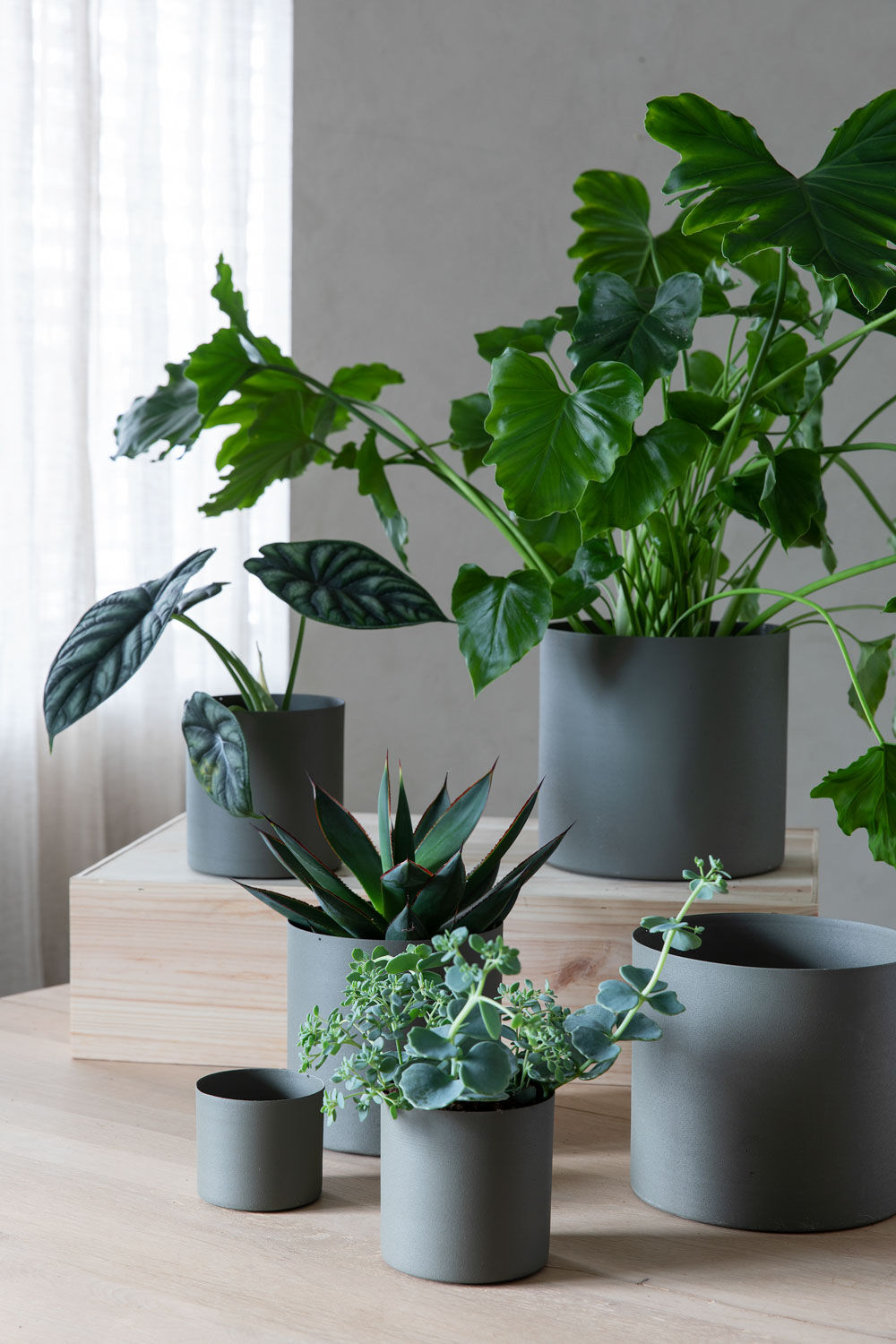 Grow blomsterpotter