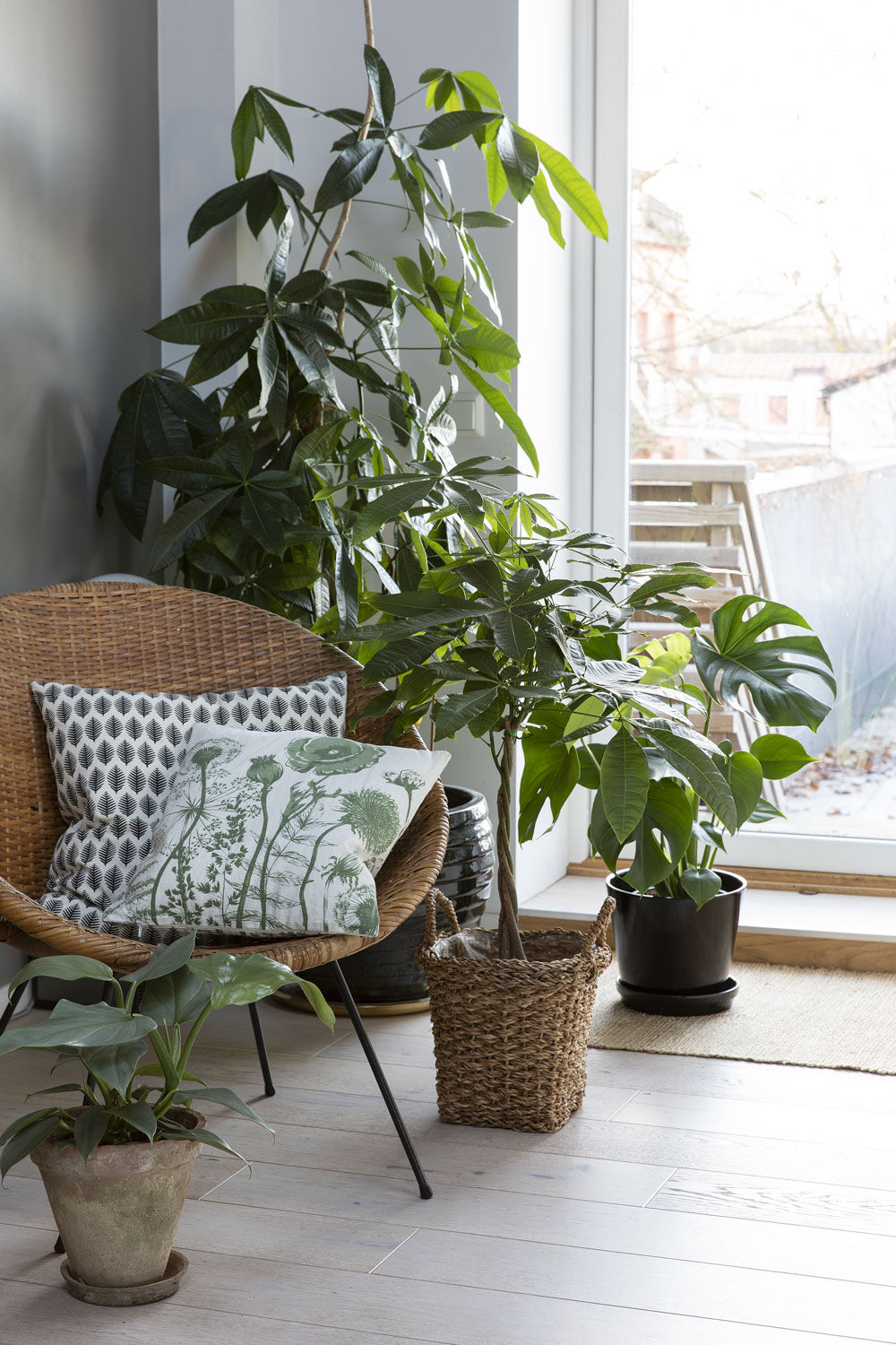 Grønne planter Grønne planter