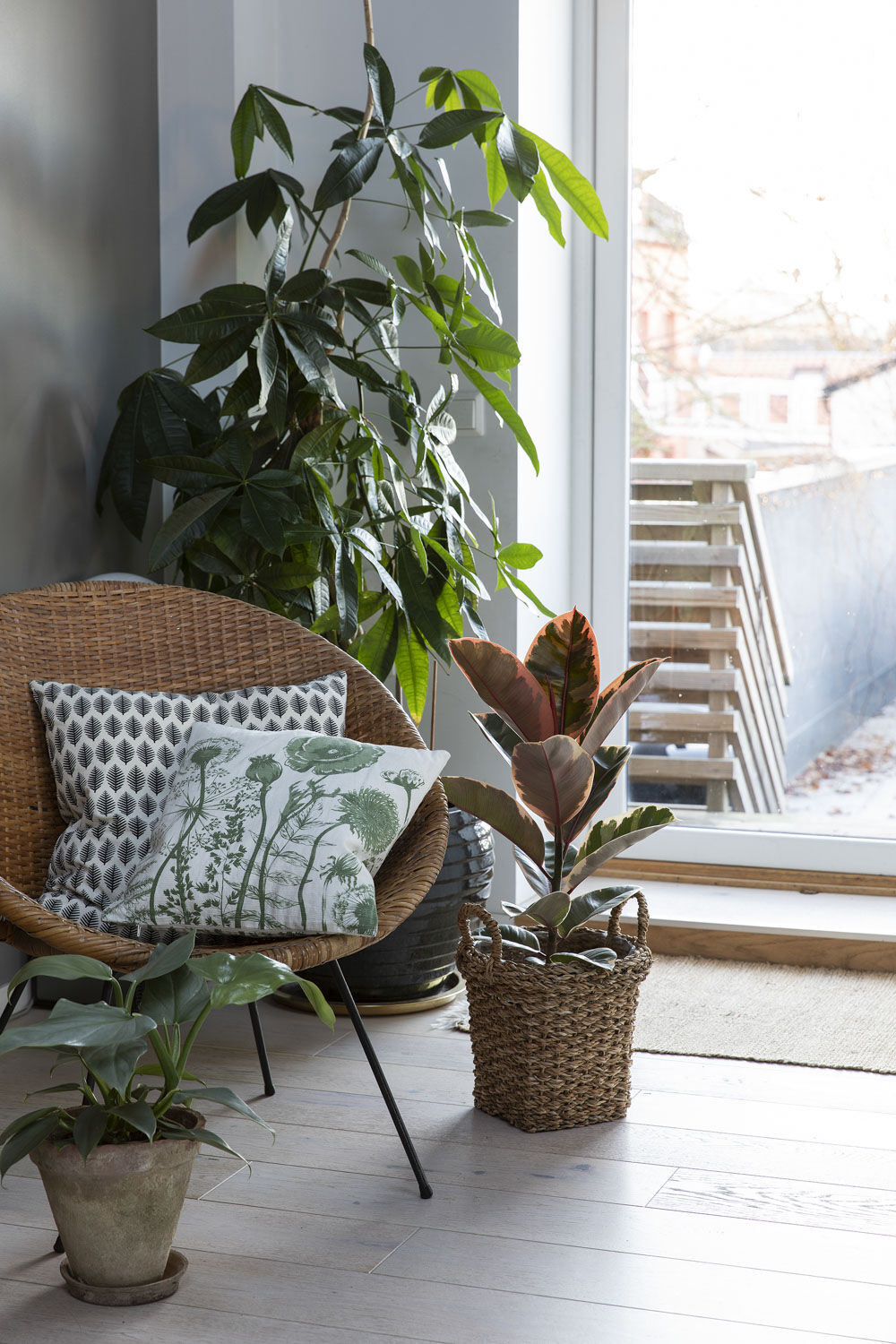 Grønne planter inne Grønne planter inne