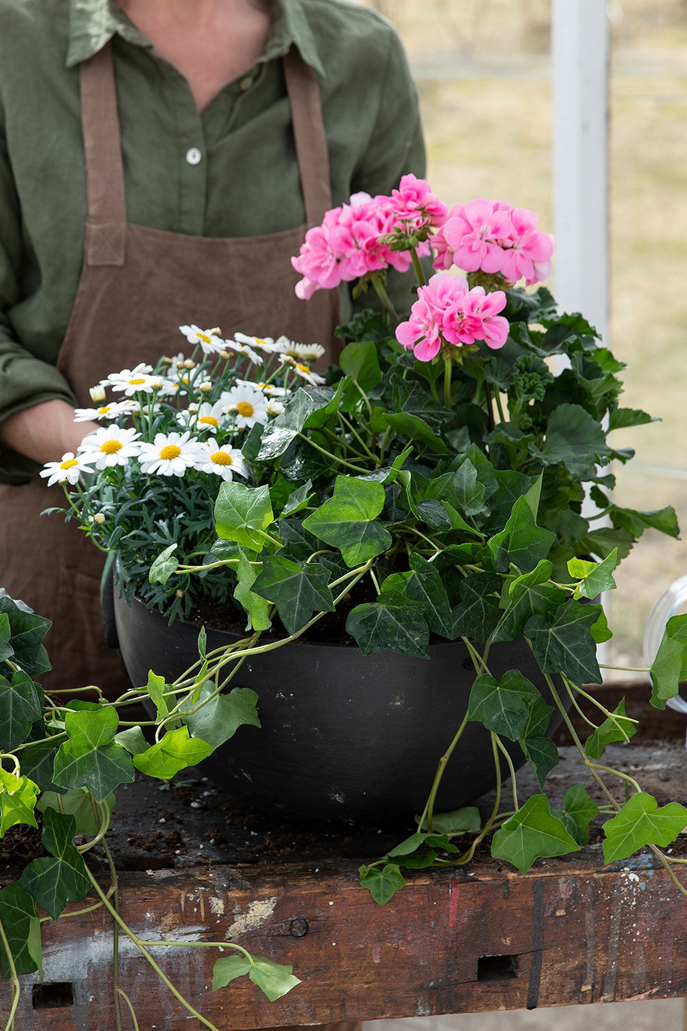 Plante sommerblomster
