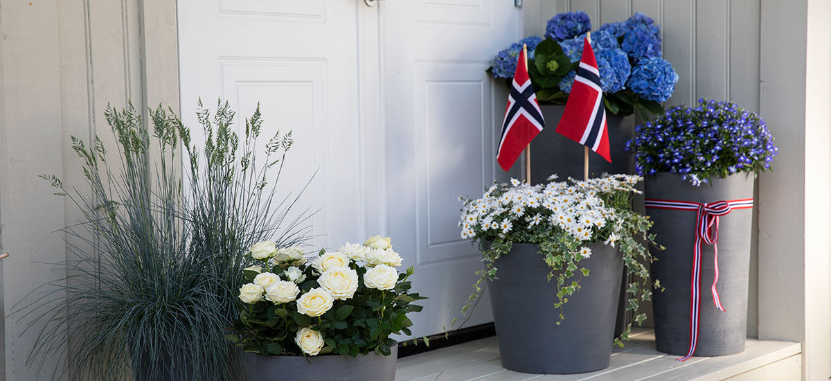 Blomster til 17. mai Blomster til 17. mai
