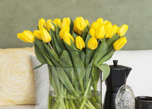 la det bugne av gule knitrende tulipaner la det bugne av gule knitrende tulipaner