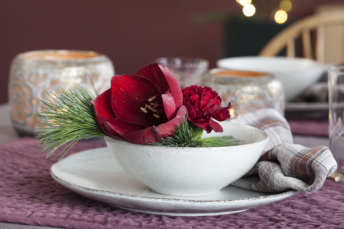 Amaryllis som kuvertpynt Amaryllis som kuvertpynt