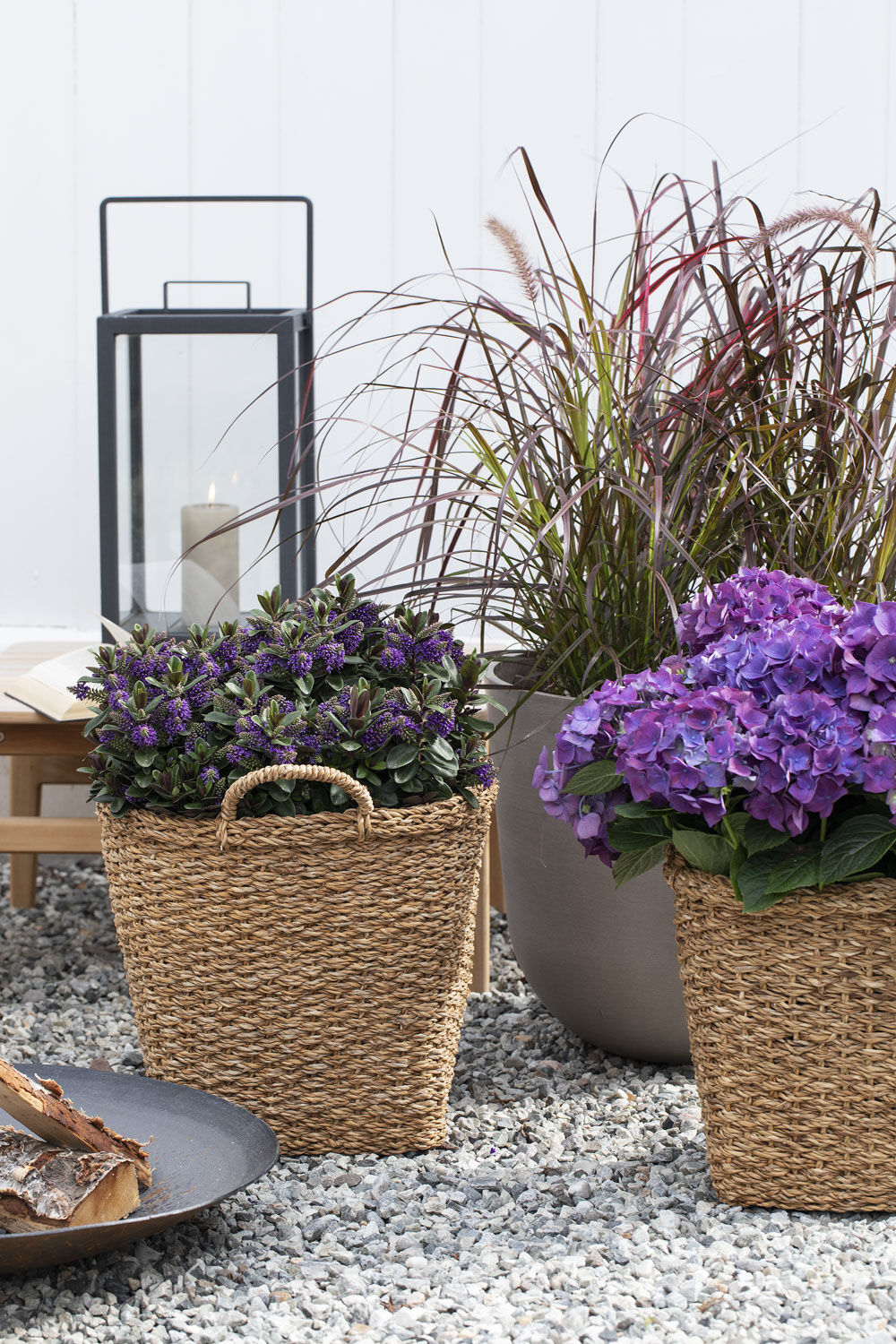 Høstblomster i kurver Høstblomster i kurver