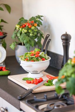 tomater i salat tomater i salat