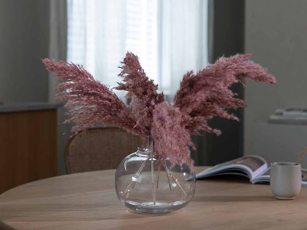Tørkede pampas strå Tørkede pampas strå