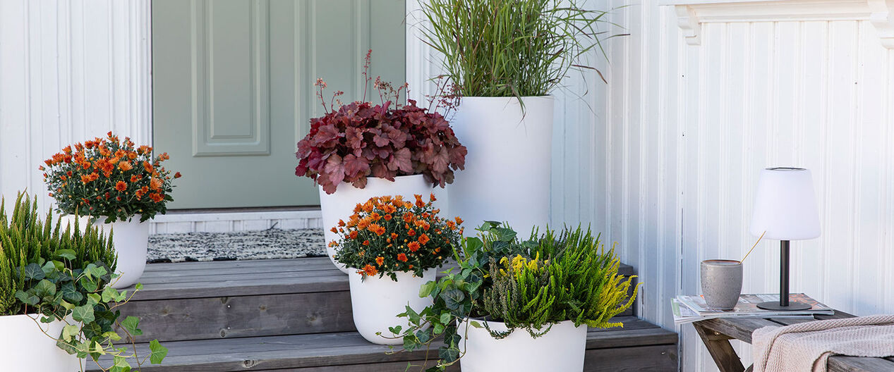 Høstblomster i inngangspartiet
