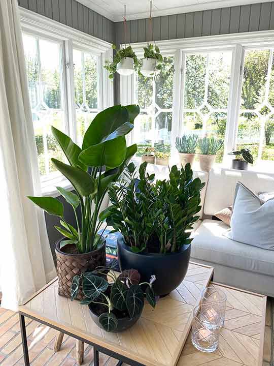 Halvor Bakkes glassveranda Halvor Bakkes glassveranda