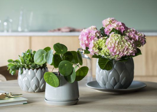 blomsterpotter i grågrønne fargetoner blomsterpotter i grågrønne fargetoner