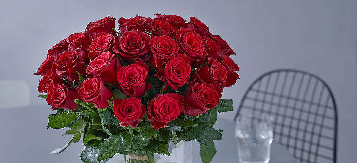 Røde roser valentine Røde roser valentine