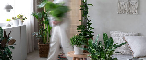 grønne planter