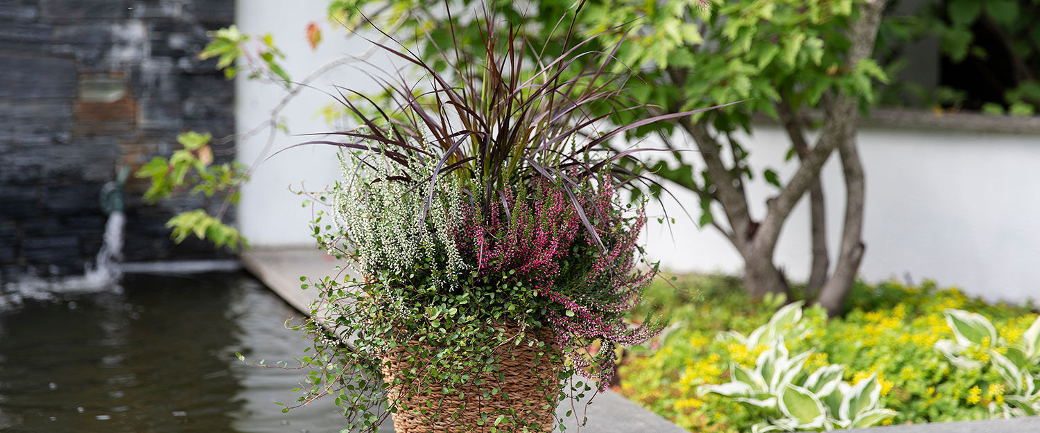Blomster