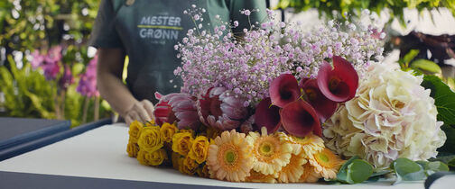 Sesongens avskårne blomster
