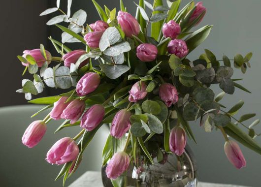 eucalyptus grener sammen med tulipaner