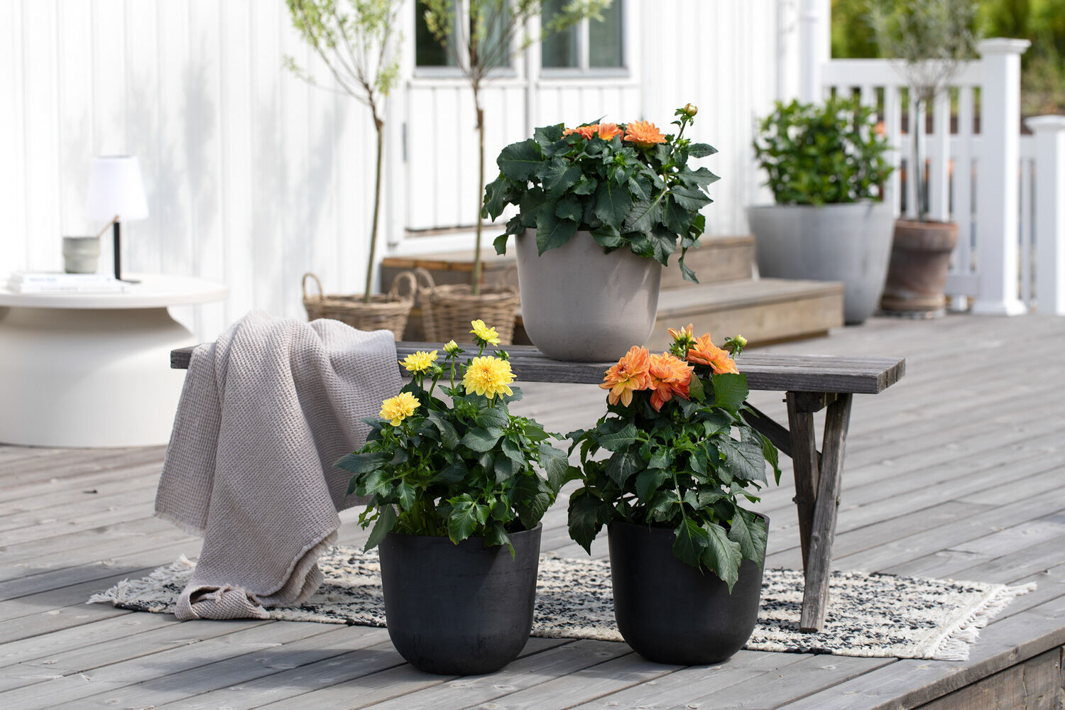 ecopots er frostsikre