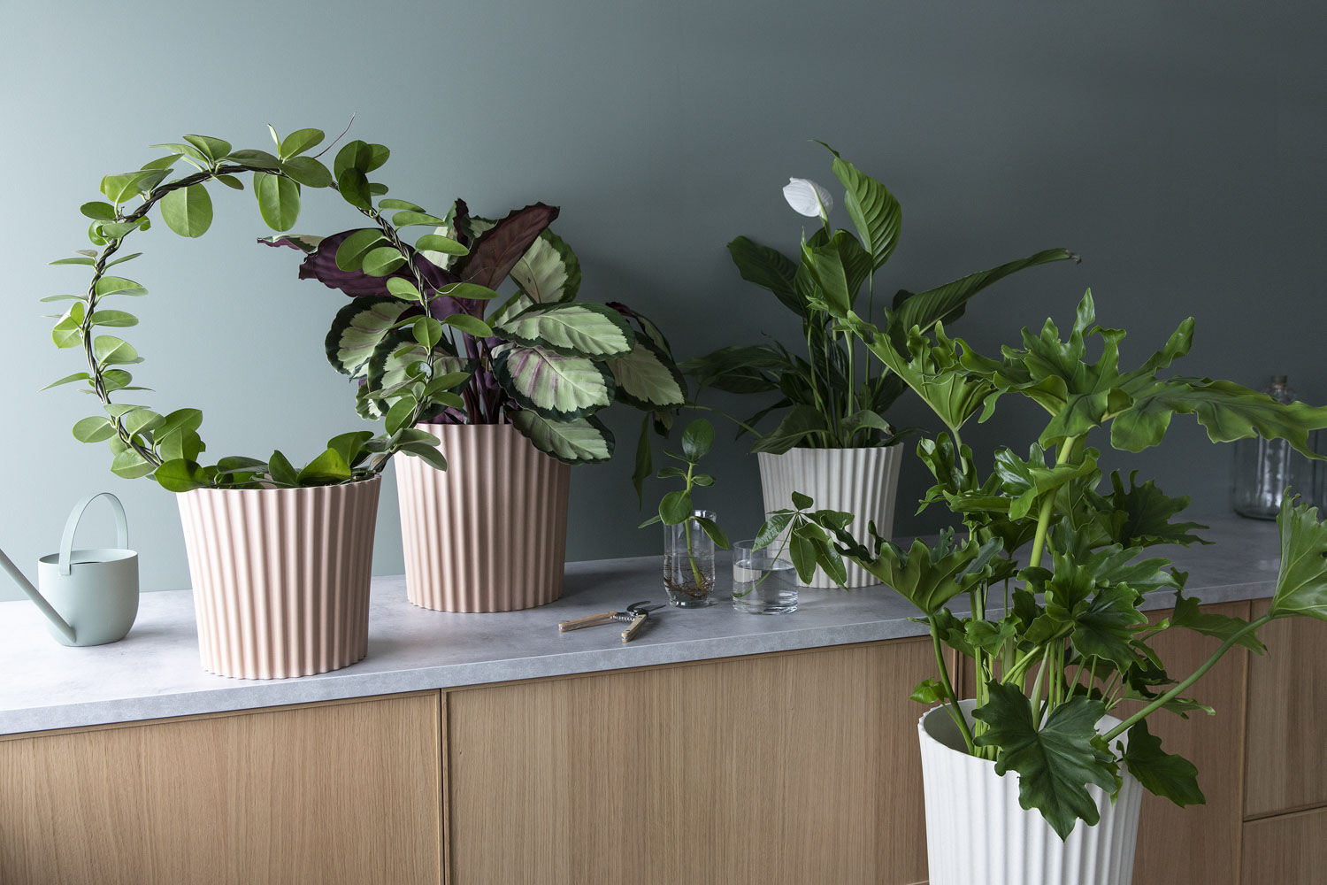 Grønne planter Grønne planter