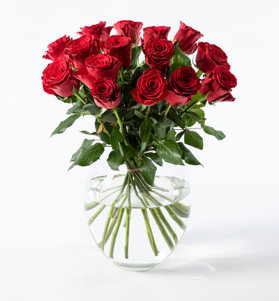 Blomster Roser () Blomster Roser