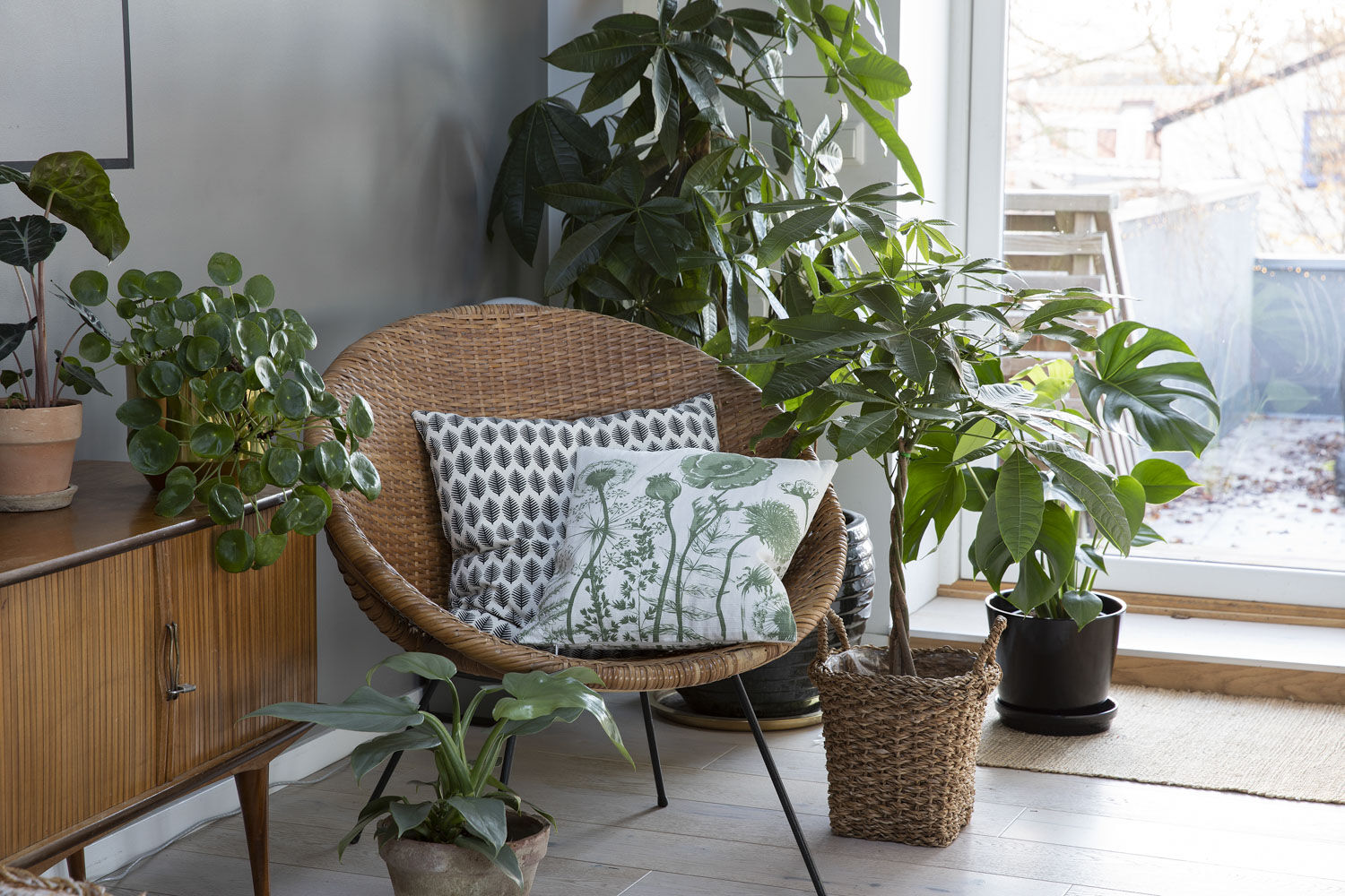 Gr&oslash;nne planter inne