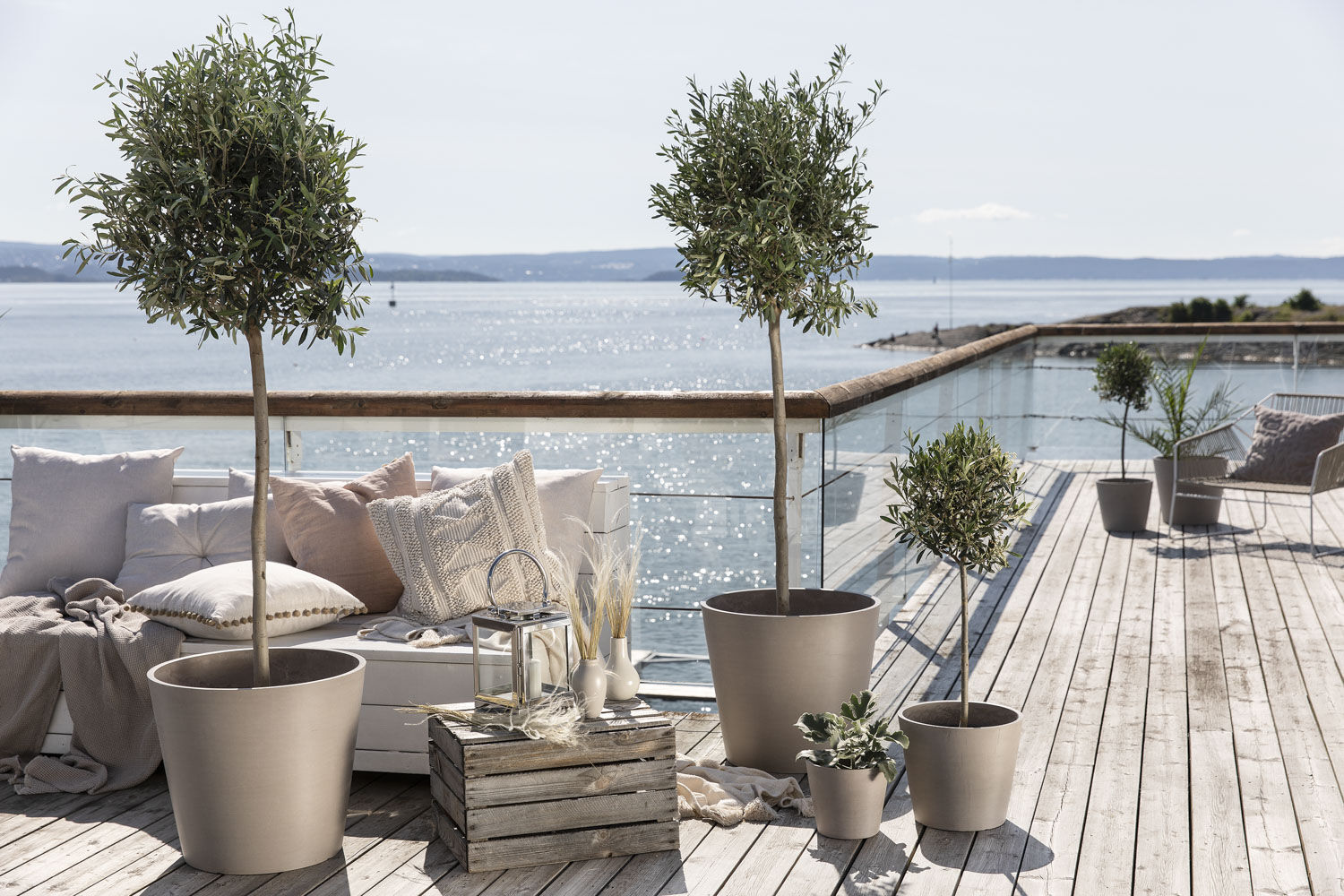 sommerblomster i utepotter