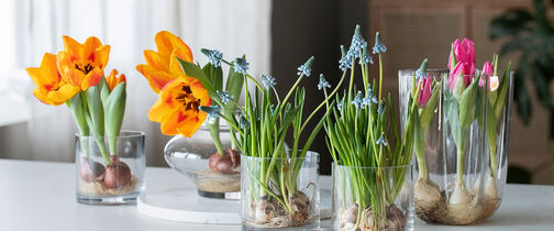 DIY: 3 ideer med l&oslash;kblomster i vase