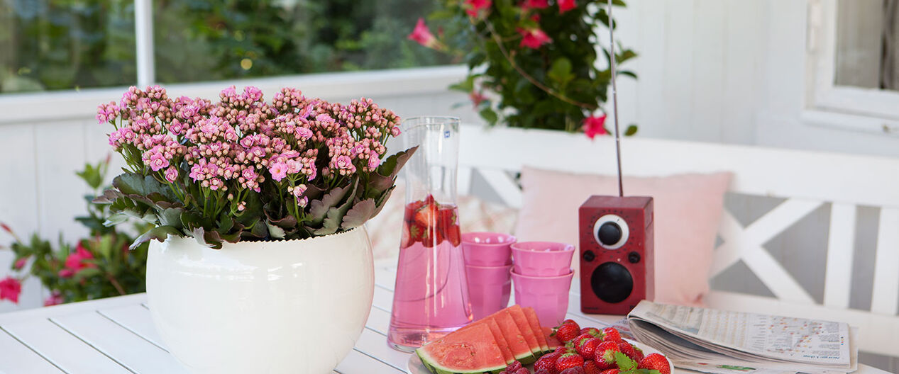 lettstelte sommerblomster