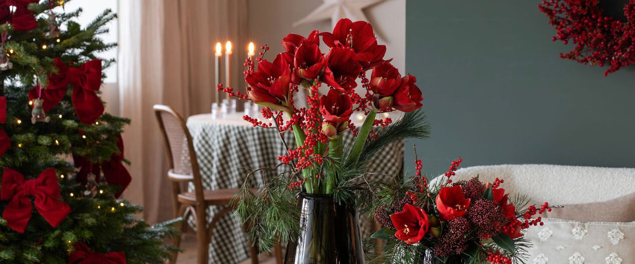 pynt med vakre amaryllis