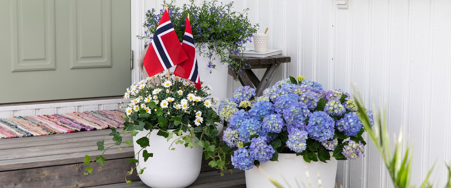 Tips til hvordan pynte ute til 17. mai