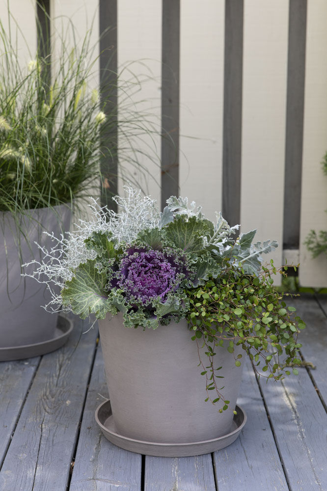 H&oslash;stblomster