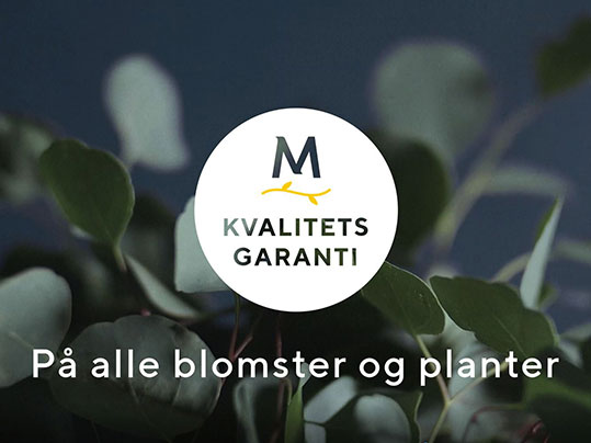 Kvalitetsgaranti på blomster og planter