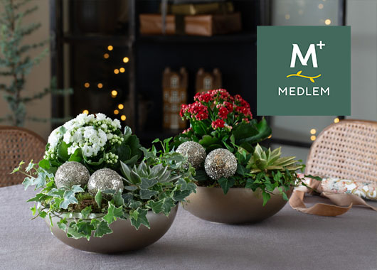 Allegivennlige julegrupper