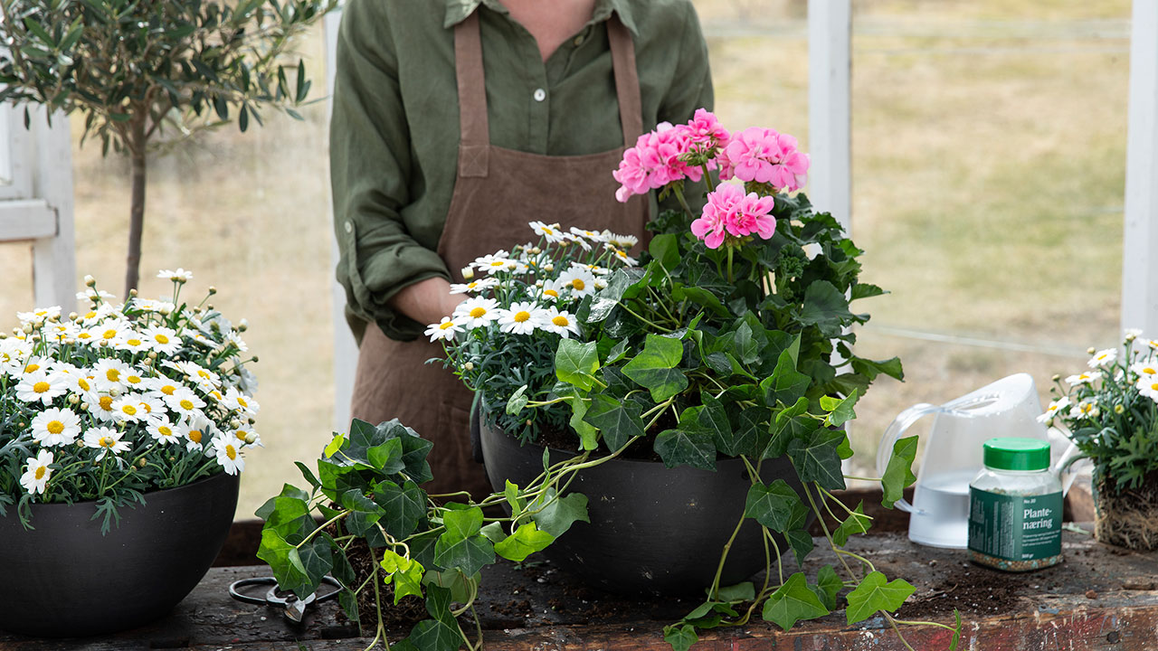 Slik planter du blomster i utepottene