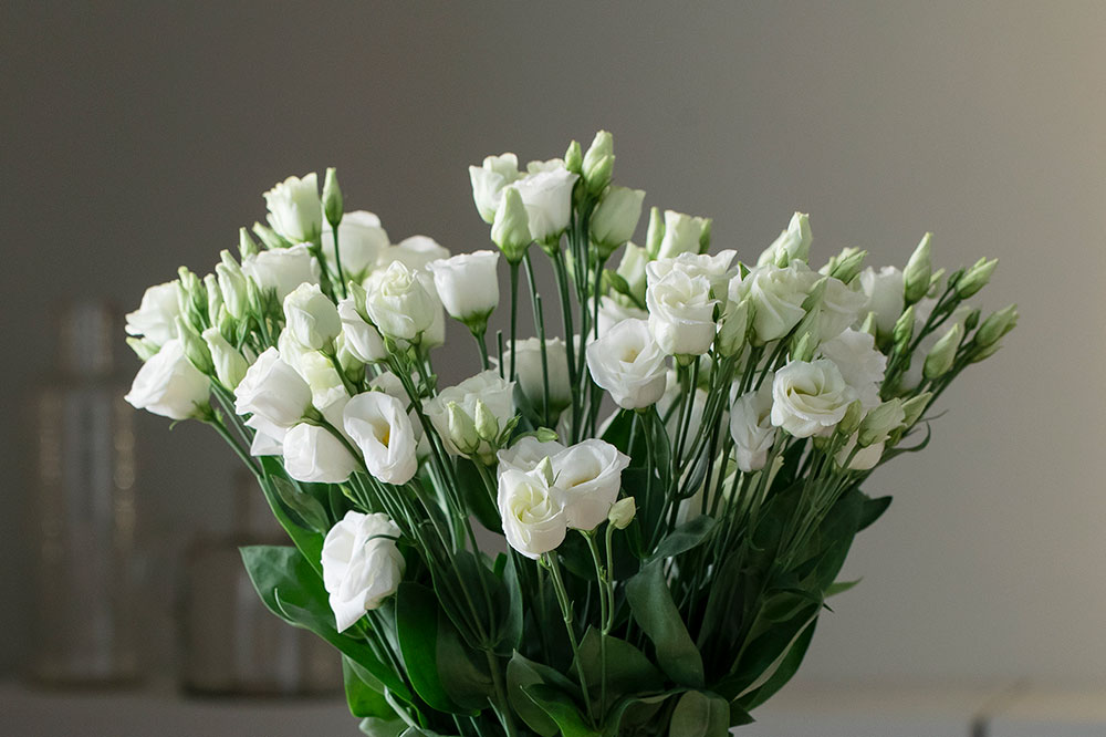 Lisianthus