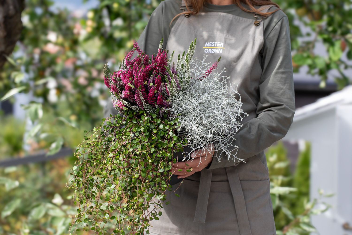 Plant h&oslash;stgruppe