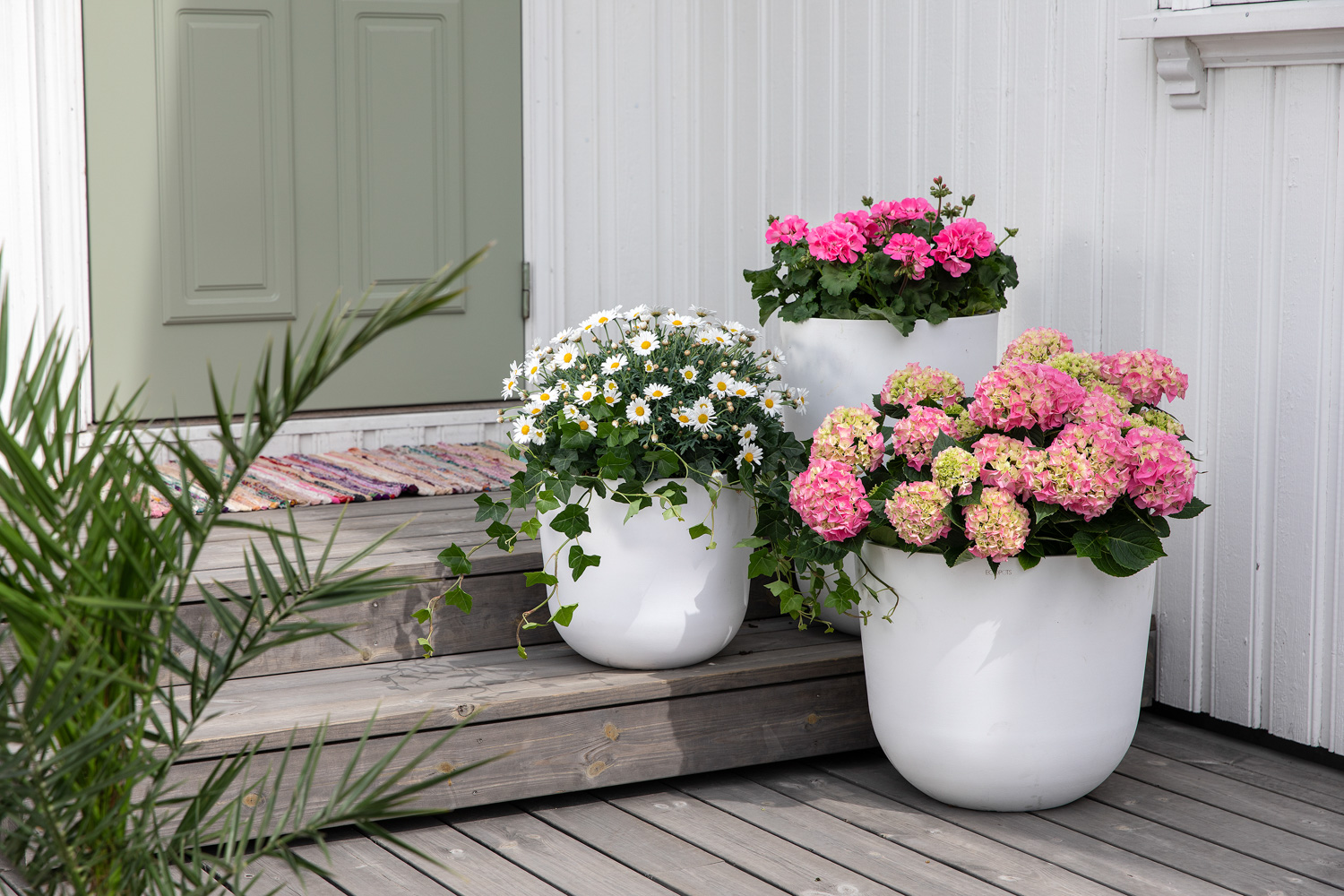 Inspirasjon sommerblomster inngangspartiet