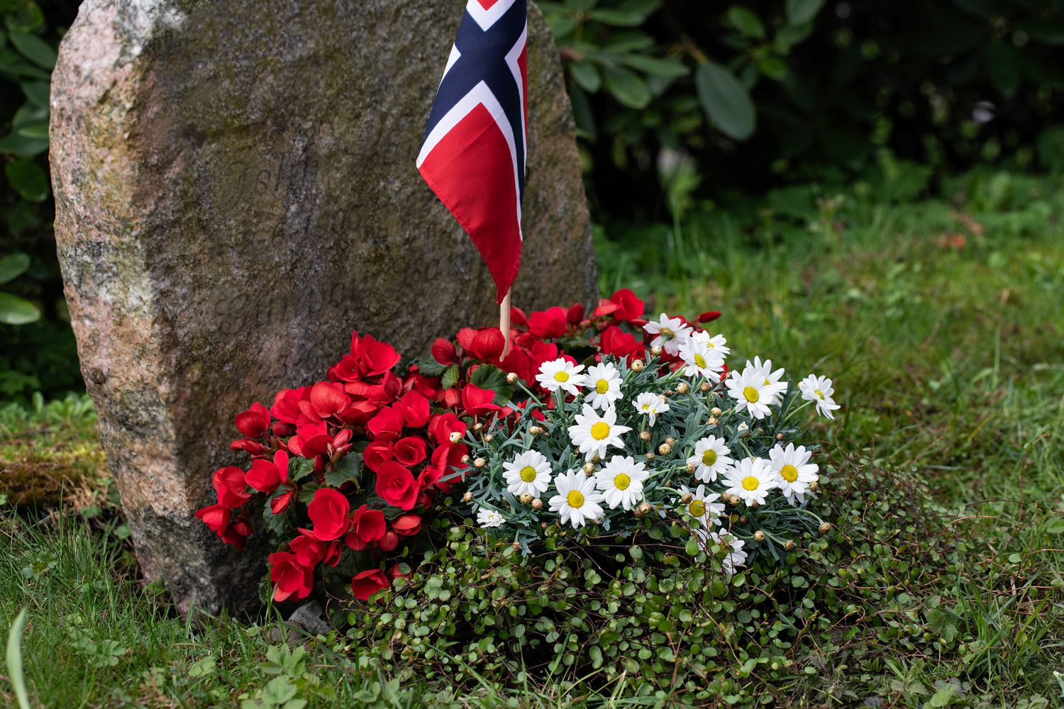 Betulia, margeritt og sommergrønt