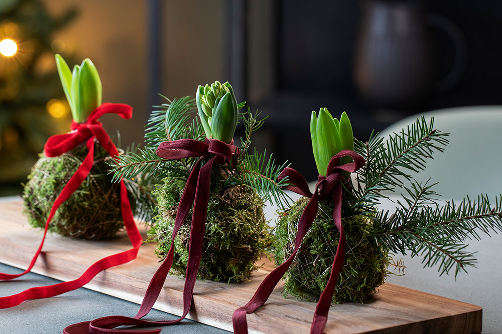 DIY: Pynt svibel med mose