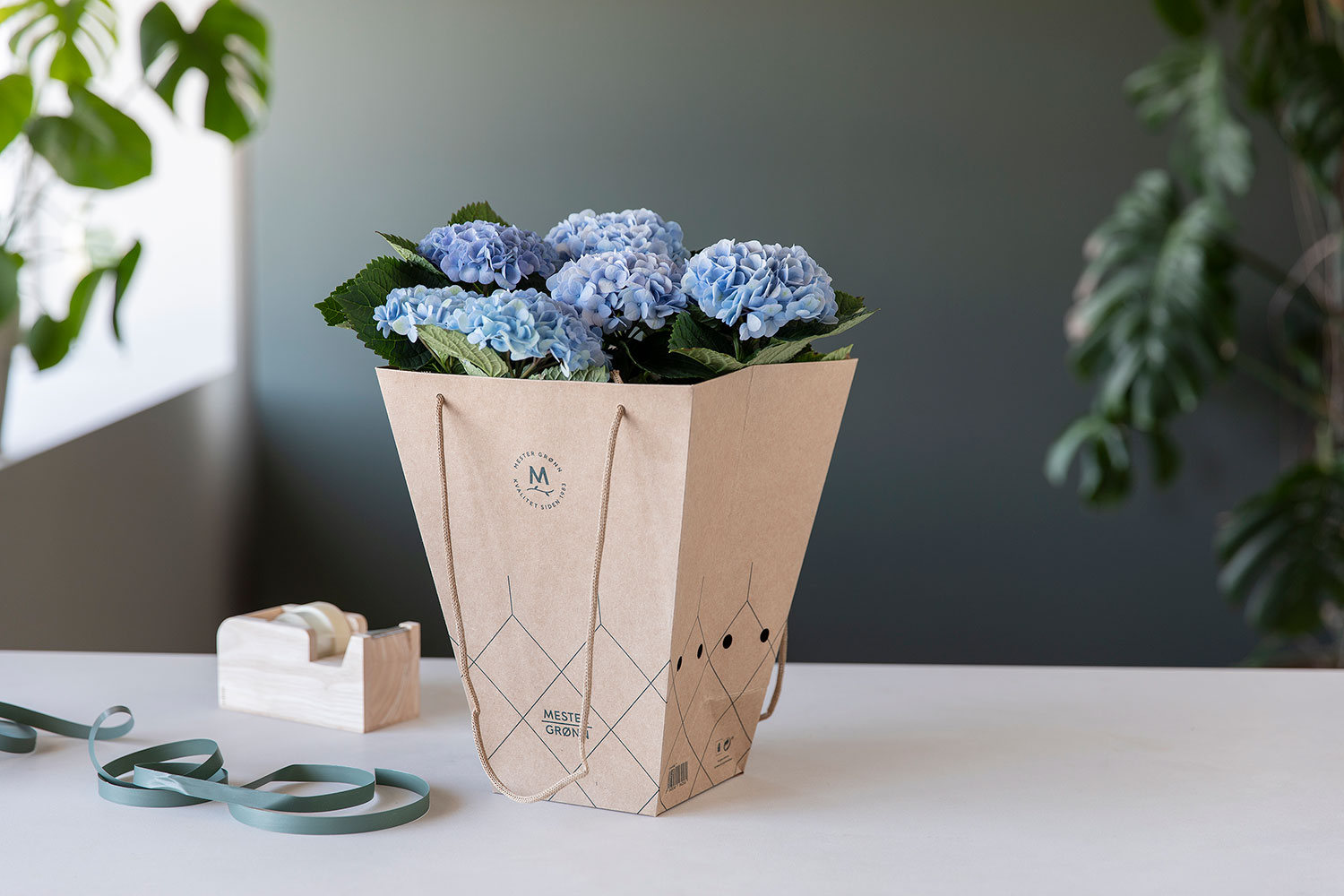 Hortensia i gavepose