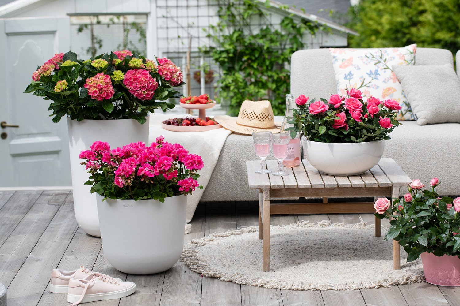 Sommerblomster i Ecopots