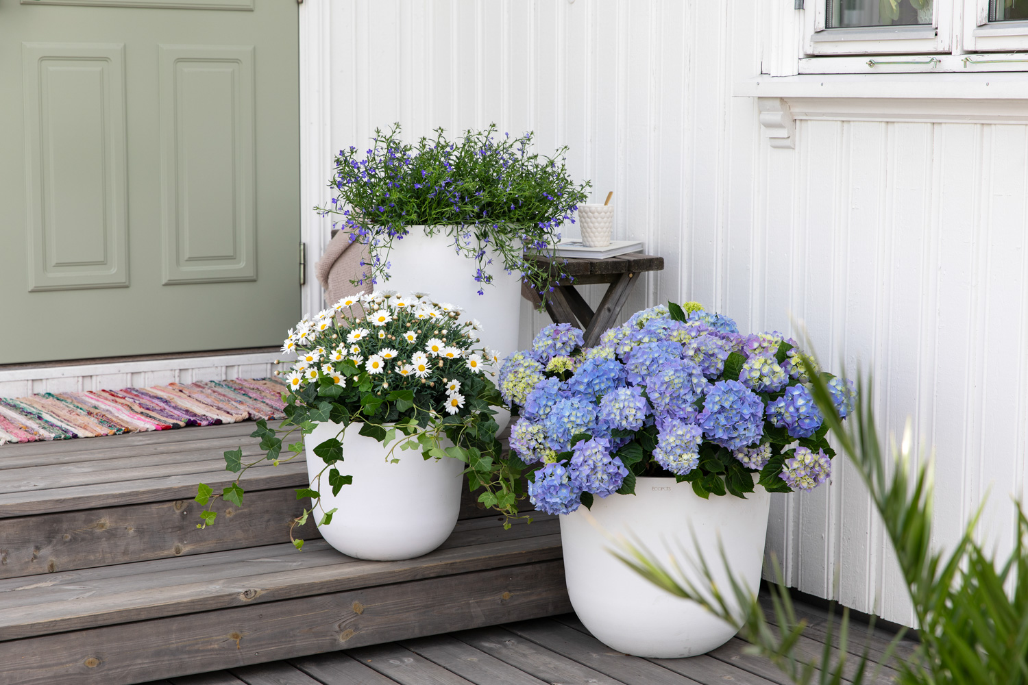 Sommerblomster inngangpartiet