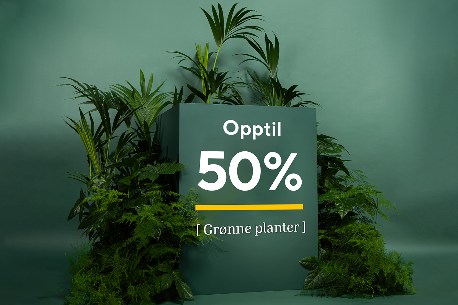 Grønne planter