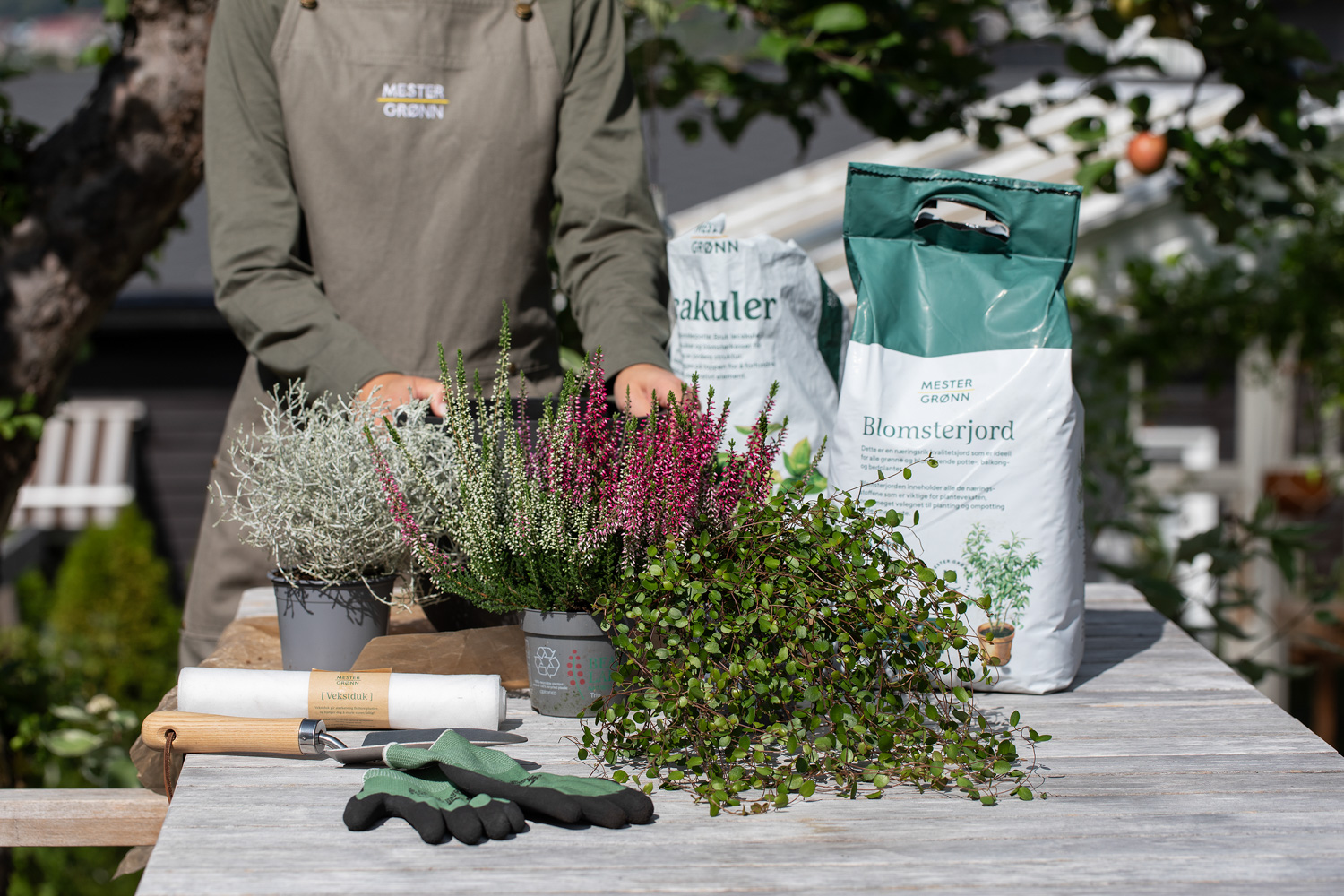 Plante h&oslash;stgruppe