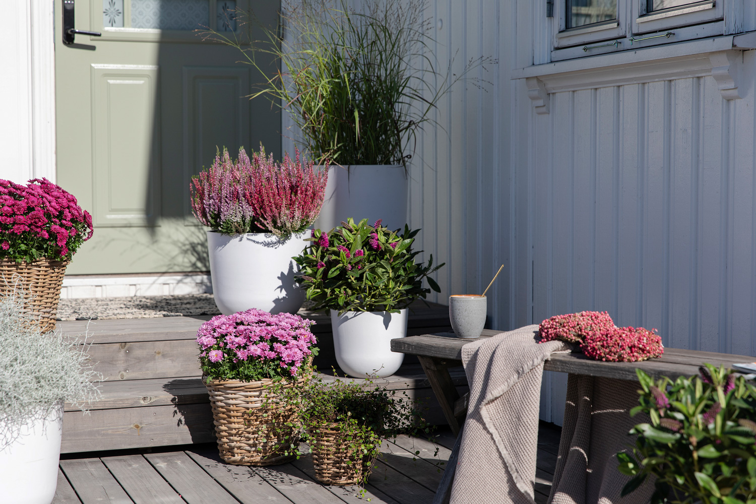 Høstblomster inngangsparti