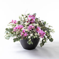 Arrangement