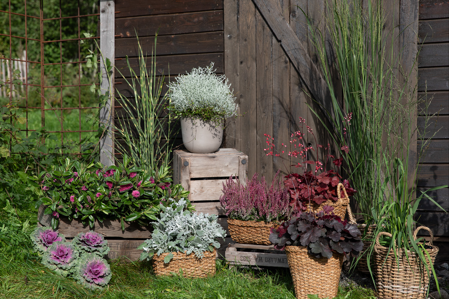 Høstblomster