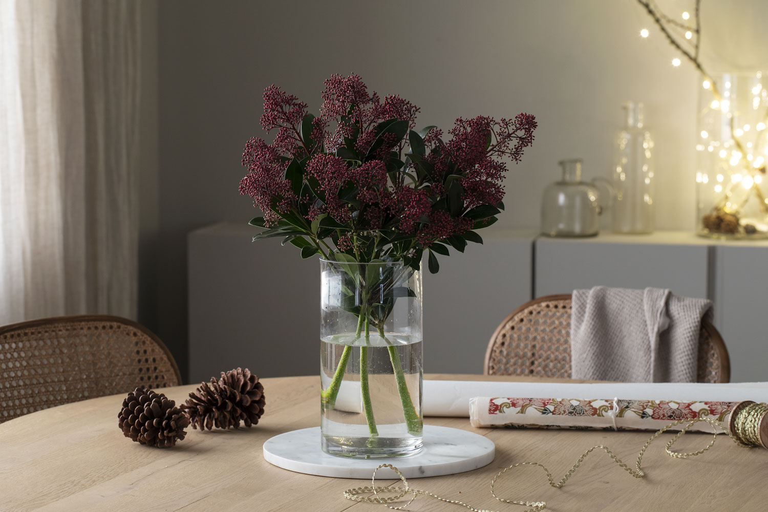 Skimmia - slik lykkes du med den - Mester Grønn