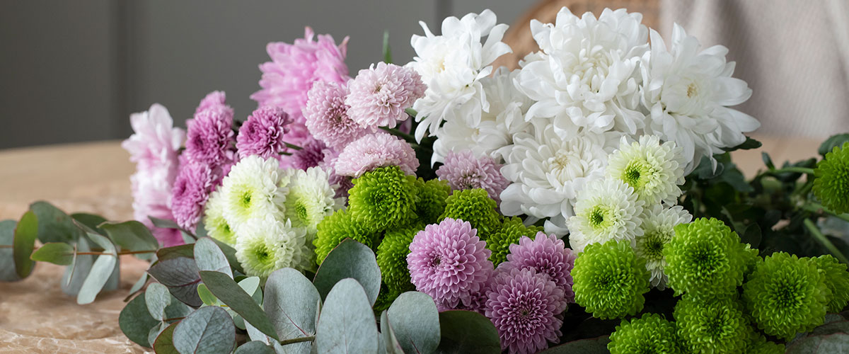 Se sesongens vakreste snittblomster - Mester Grønn