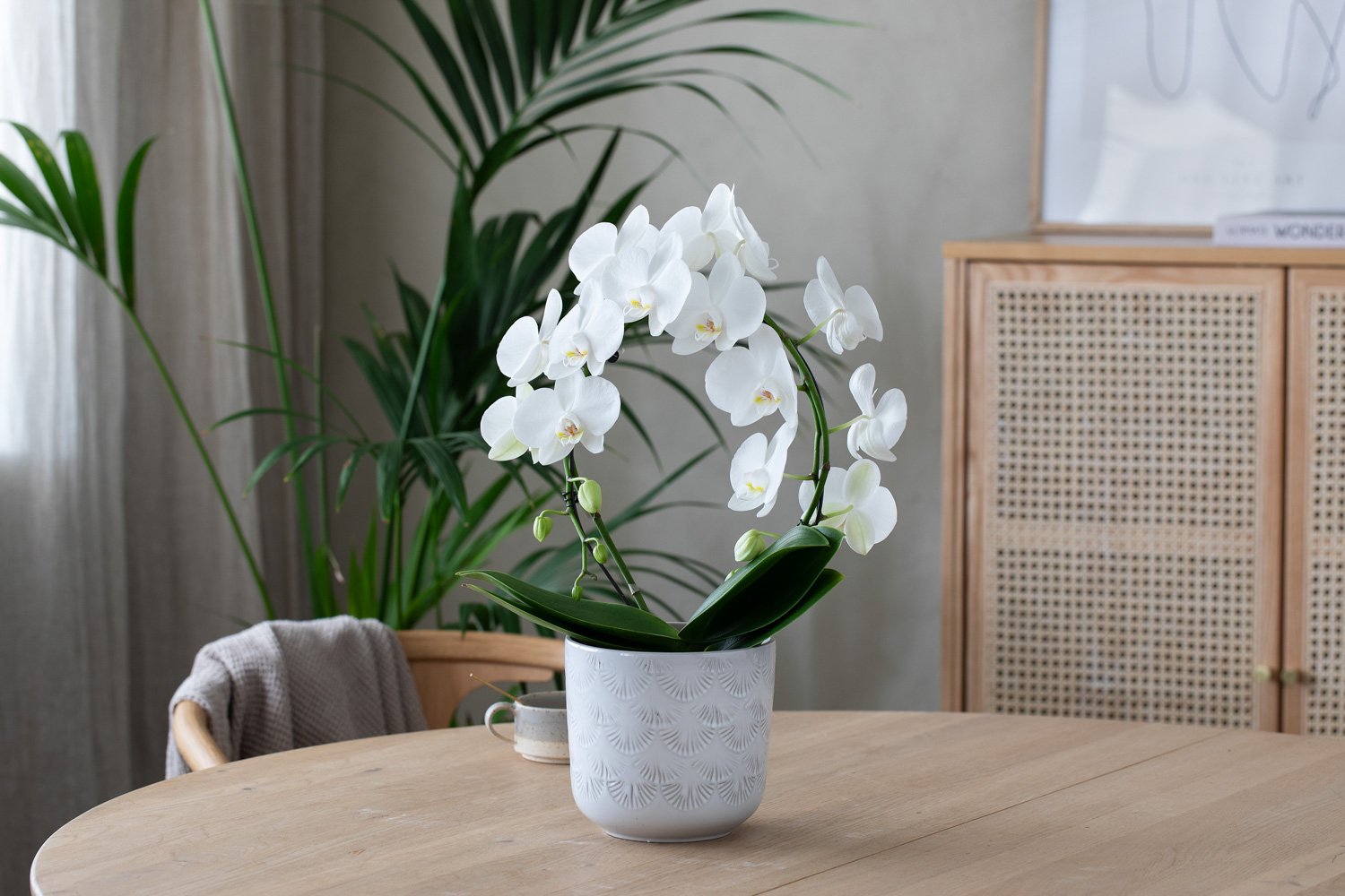 Interiør- og blomsterbilde med klikkbare elementer